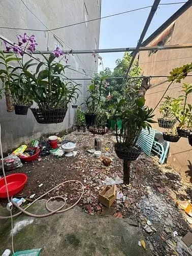 6061786 ảnh đại diện 1