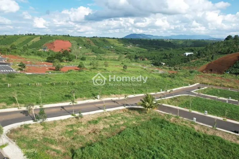 6061791 ảnh đại diện 1
