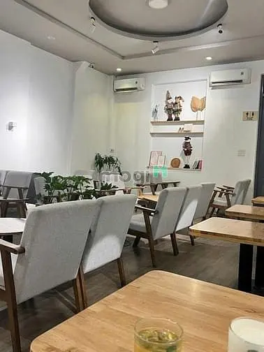 6061801 ảnh đại diện 1