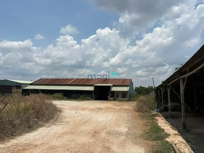 Nhà Máy Tại Khu Công Nghiệp Trà Đa Pleiku