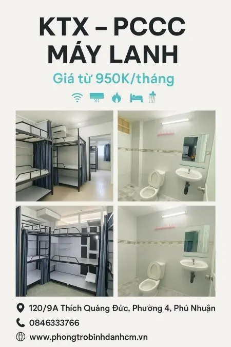 6061639 ảnh đại diện 1