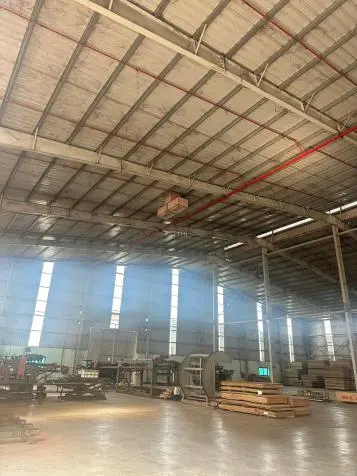 6061762 ảnh đại diện 1