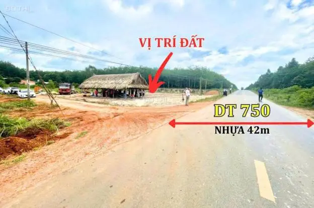 Siêu Phẩm Đất Nền Mặt Tiền Dt750 42M – Cơ Hội Vàng Cho Nhà Đầu Tư!