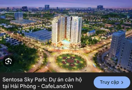 6061680 ảnh đại diện 1
