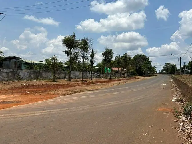 6061709 ảnh đại diện 1