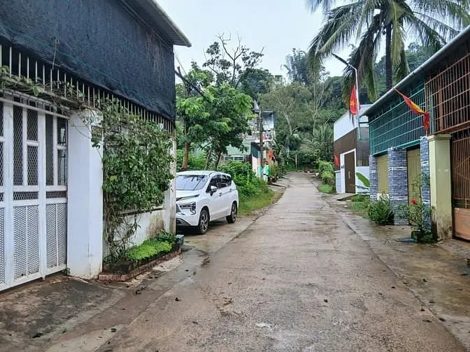 6061710 ảnh đại diện 1