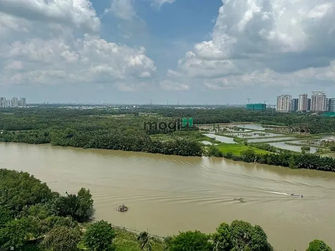 Bán Ch Cao Cấp The Panorama 146M2-Trần Văn Trà, Phú Mỹ Hưng, Quận 7