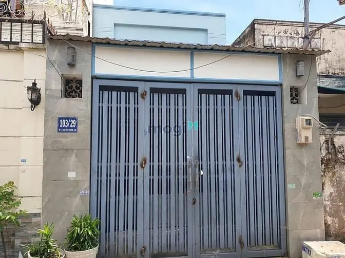 6061961 ảnh đại diện 1