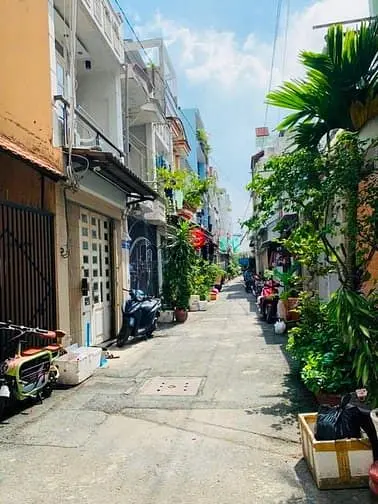 6061927 ảnh đại diện 1