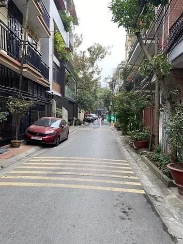 6061915 ảnh đại diện 1