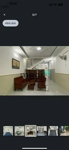 6062213 ảnh đại diện 1