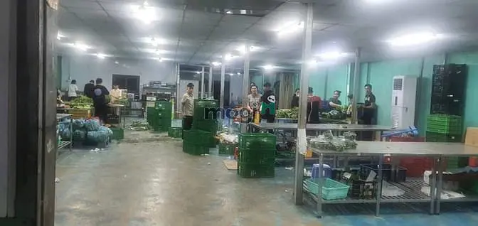 6062097 ảnh đại diện 1