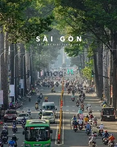 6062034 ảnh đại diện 1