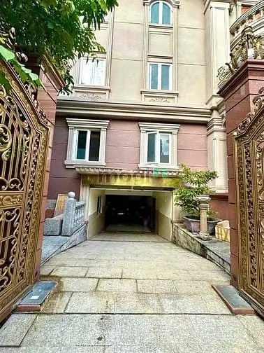 6062236 ảnh đại diện 1