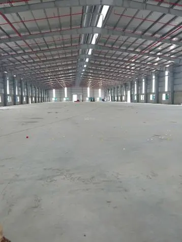 6062227 ảnh đại diện 1