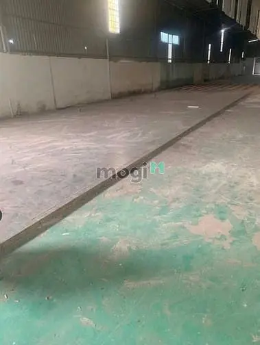 6062101 ảnh đại diện 1
