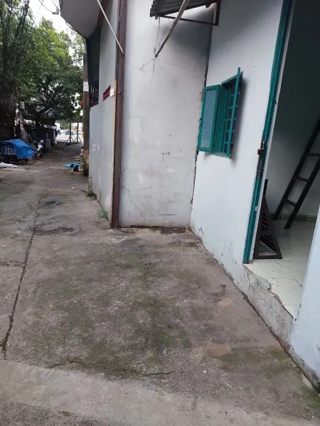 6062250 ảnh đại diện 1