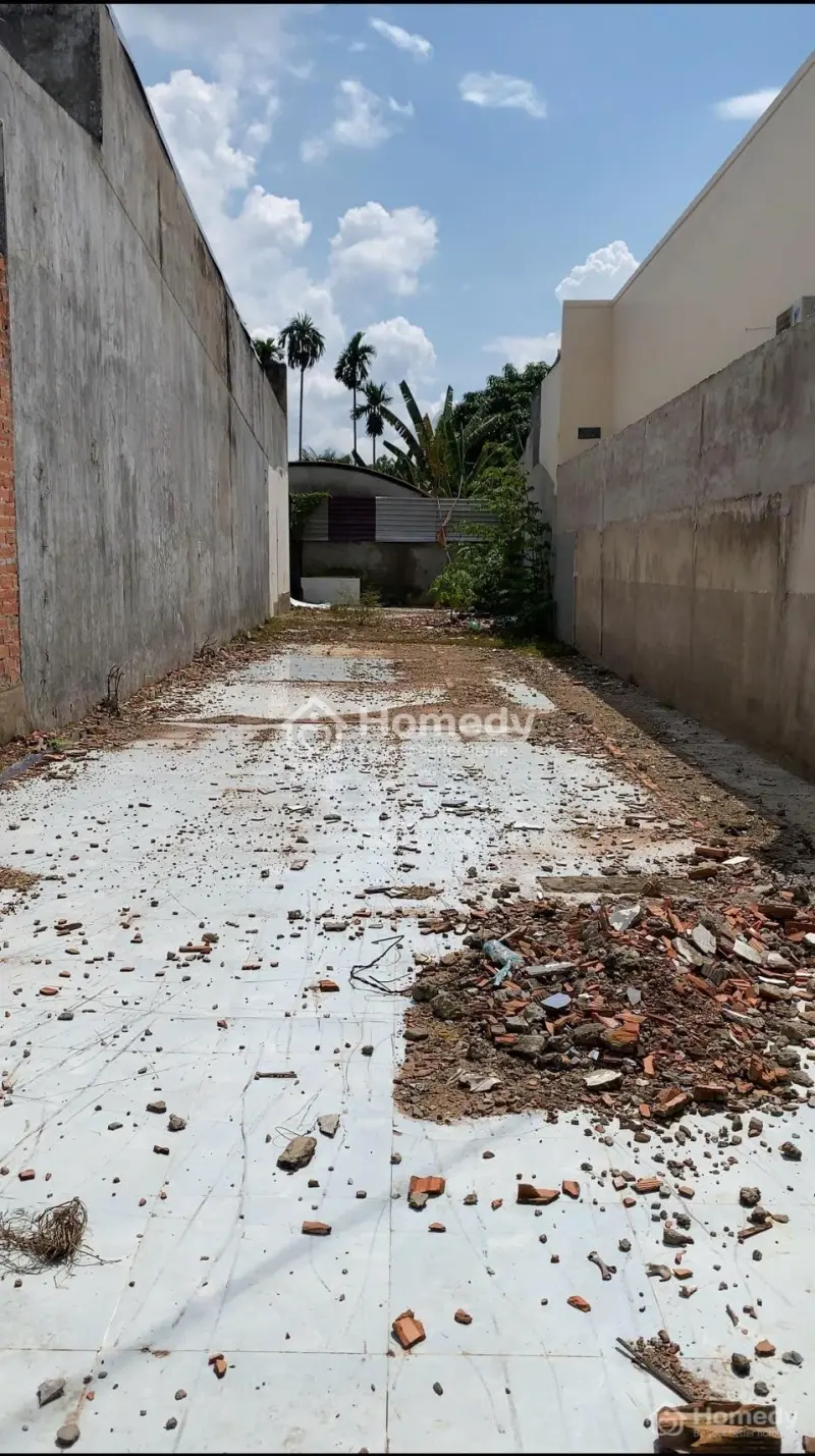 6062455 ảnh đại diện 1