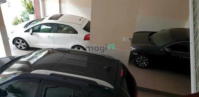 6062470 ảnh đại diện 1