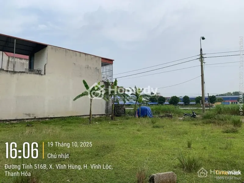 6062894 ảnh đại diện 1
