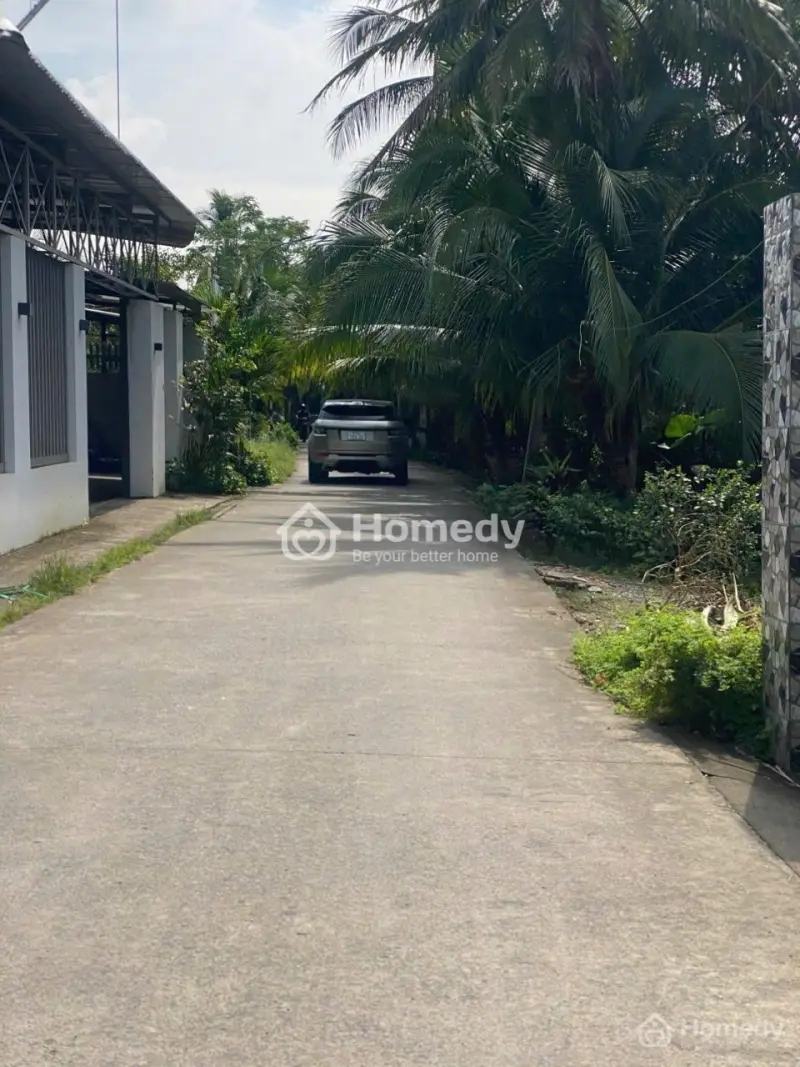 6062456 ảnh đại diện 1