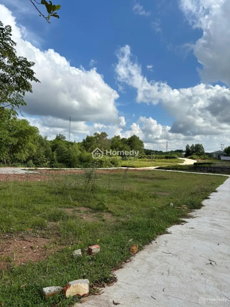 Dạ Lê Gây Sốt - 5 Lô Vừa Bay , Người Huế Tranh Nhau Xem