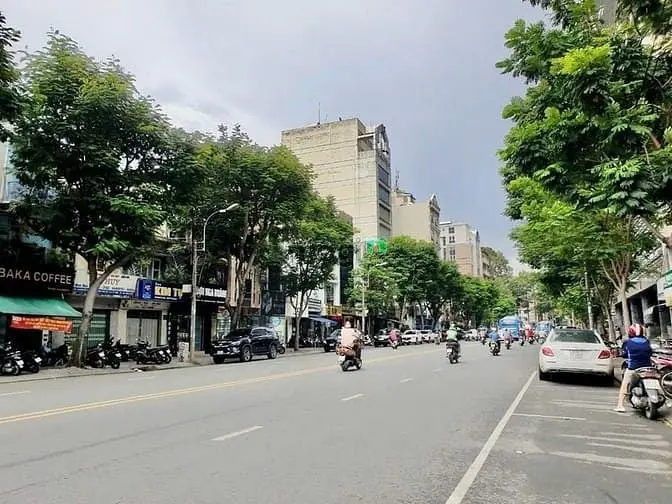 6062613 ảnh đại diện 1