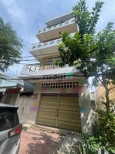6062772 ảnh đại diện 1