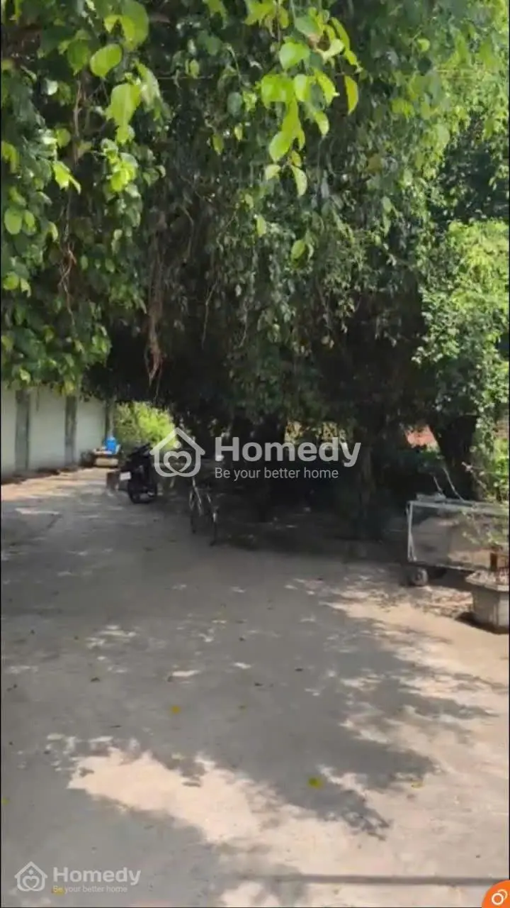 6062458 ảnh đại diện 1