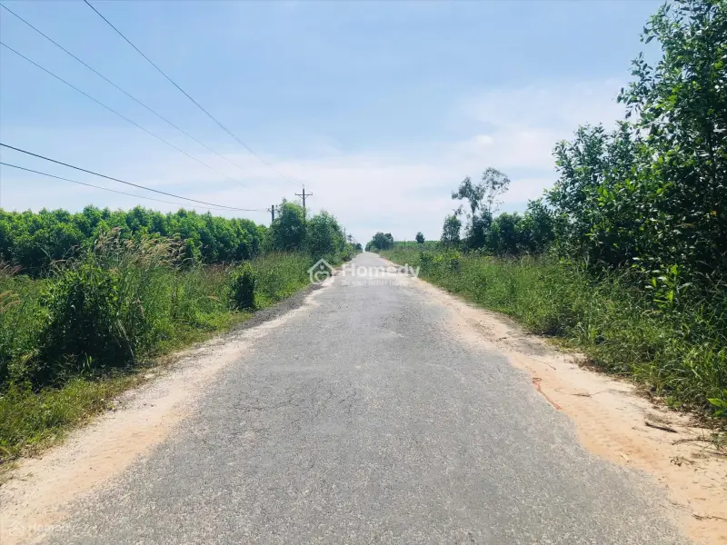 6062807 ảnh đại diện 1