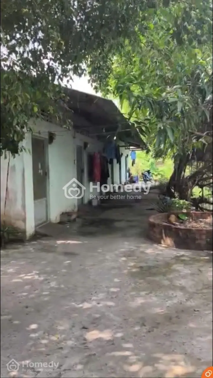 Kèo Thơm...thanh Lý Nhanh 3 Dãy Trọ Nằm Ngay Mặt Tiền Quốc Lộ 1