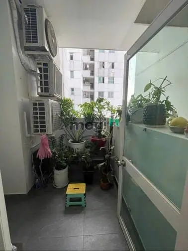 6062338 ảnh đại diện 1