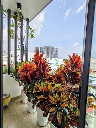 🏡 Nhà Lô Góc Huỳnh Tấn Phát, Phường Phú Thuận, Quận 7 – Ngang 5 - 6Tỷ