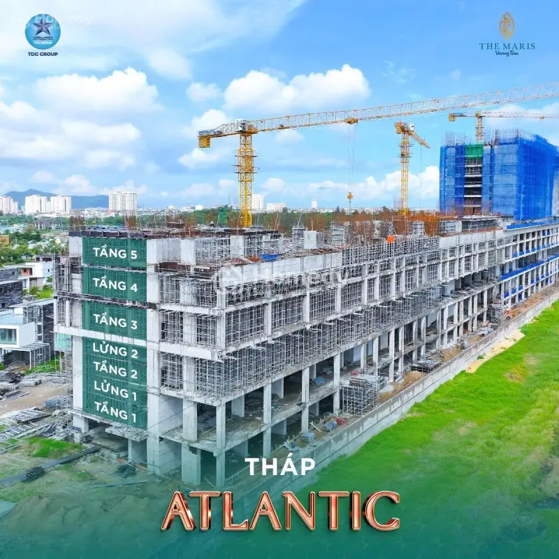 6062761 ảnh đại diện 1