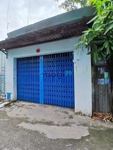 6062803 ảnh đại diện 1