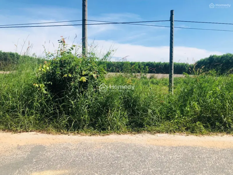6062802 ảnh đại diện 1
