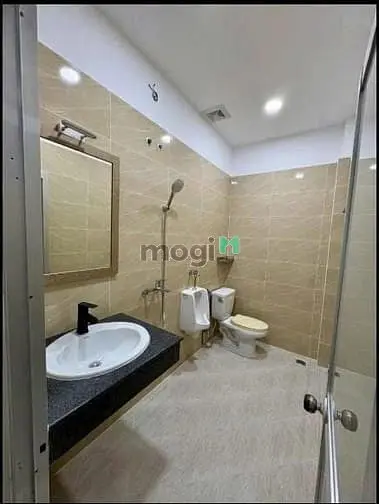 6062846 ảnh đại diện 1