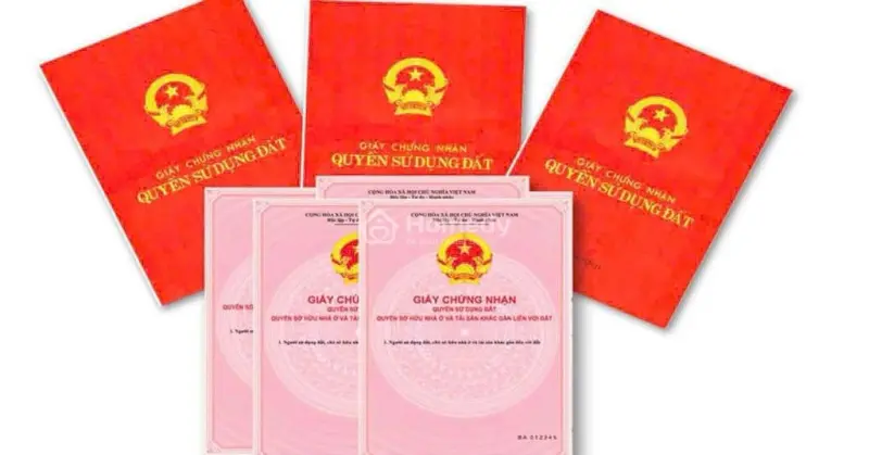 Đất Nền Biển Quất Lâm Sở Hữu Vị Trí Vàng Giữa Trái Tim Khu Nghỉ Dưỡng