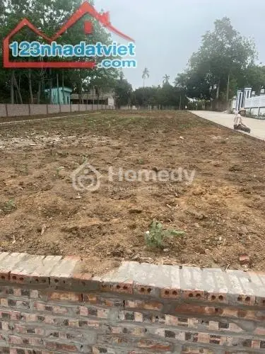 6062736 ảnh đại diện 1