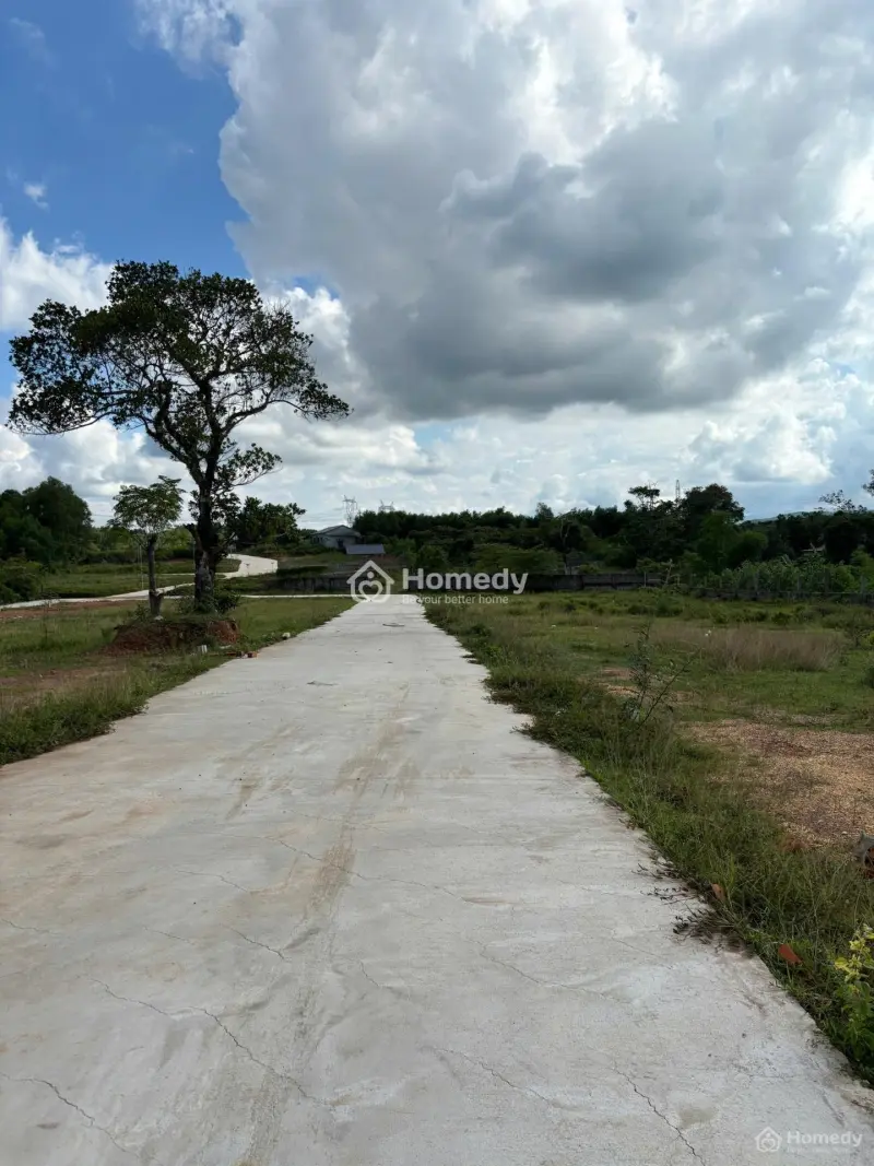 Dạ Lê Gây Sốt - 5 Lô Vừa Bay , Người Huế Tranh Nhau Xem