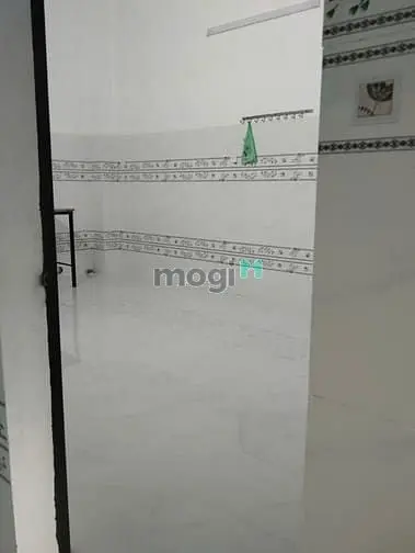 6062521 ảnh đại diện 1