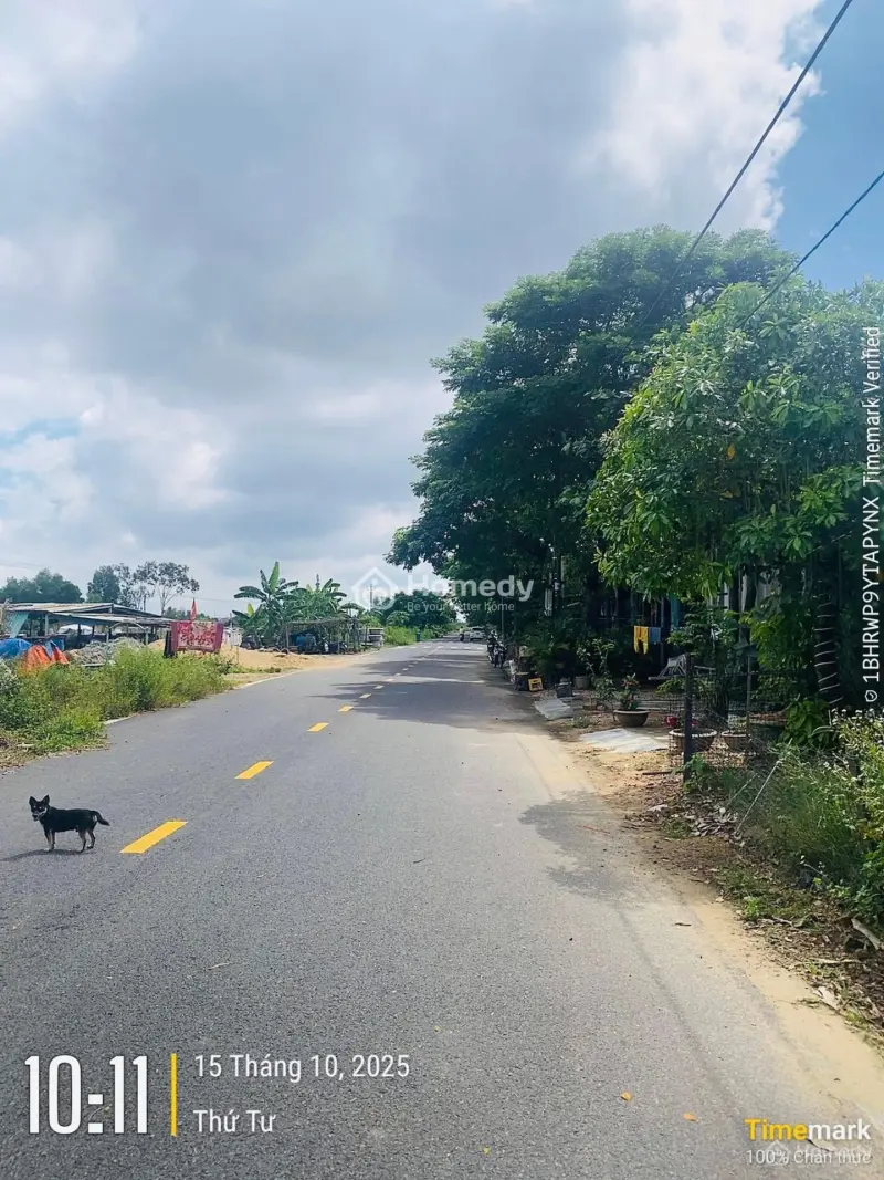 Chào Bán Nhà Hội An Kiên Cố View Cây Xanh Thoáng Mát 🏡🏡