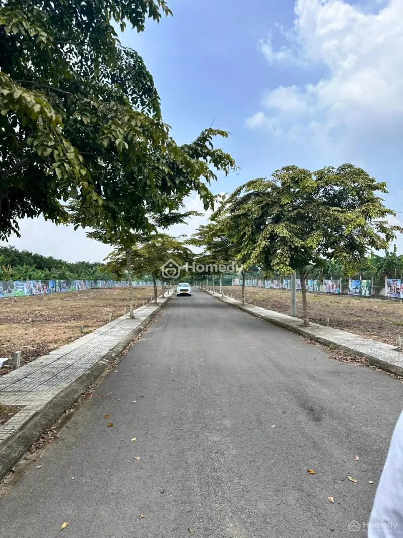 6063273 ảnh đại diện 1