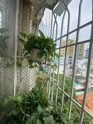 6063018 ảnh đại diện 1