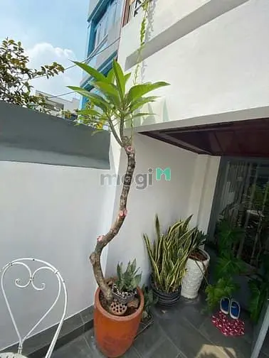 6063038 ảnh đại diện 1