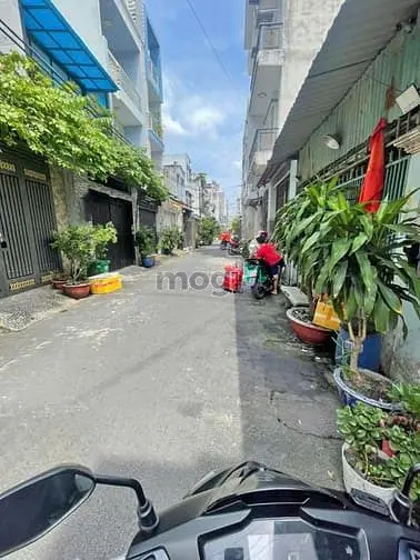 6063357 ảnh đại diện 1