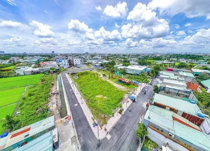 6063333 ảnh đại diện 1