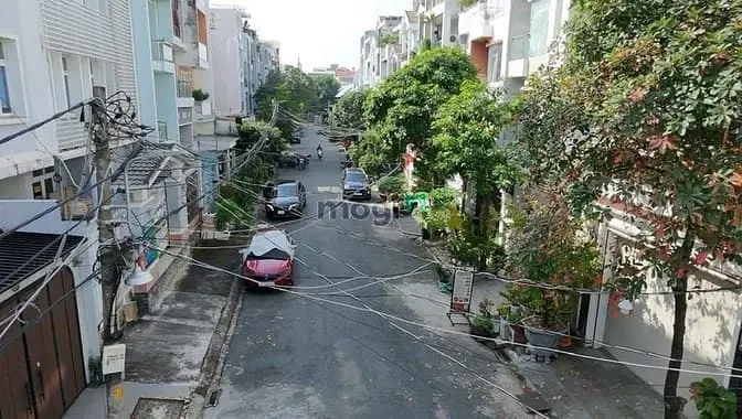 6063028 ảnh đại diện 1