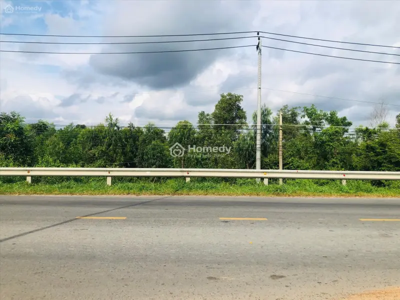 Bán 5M X 28M Khu Đất Odt Quốc Lộ 55 - Phước Hội - Lagi Giá Chỉ Ngộp 1.6 Tỷ