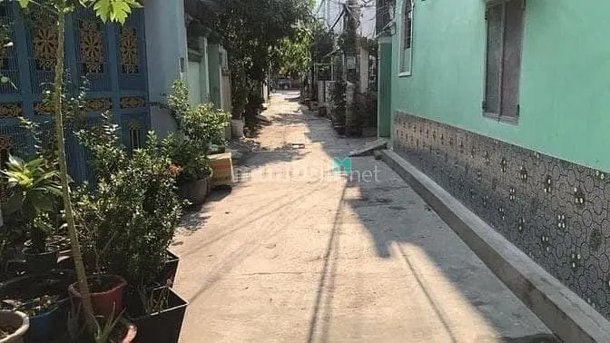 6063192 ảnh đại diện 1
